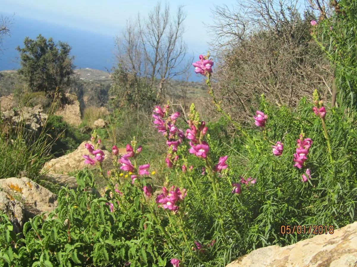 Dammusi Della Perla Nera Villa Pantelleria Island Holiday home